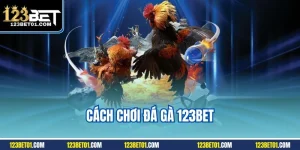 Cách chơi đá gà 123BET