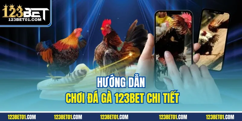 Cách Chơi Đá Gà 123BET Chuẩn Từng Bước, Thắng Lớn Dễ Hướng dẫn chơi đá gà 123BET chi tiết