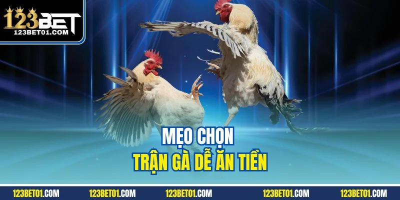 Cách Chơi Đá Gà 123BET Chuẩn Từng Bước, Thắng Lớn Dễ Mẹo chọn trận gà dễ ăn tiền