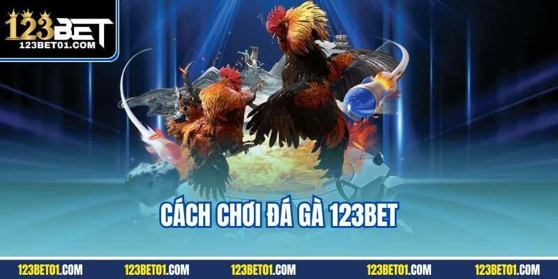 Cách chơi đá gà 123BET