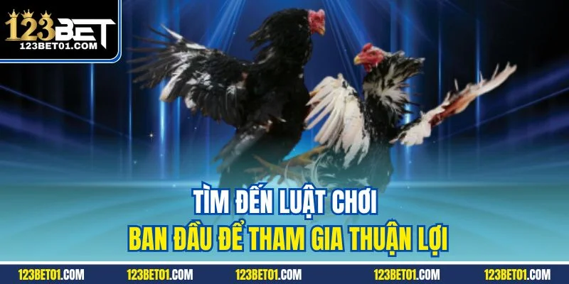 Đá Gà 123Bet - Đấu Trường Kê Chiến Dẫn Đầu Cá Cược Online Tìm đến luật chơi ban đầu để tham gia thuận lợi
