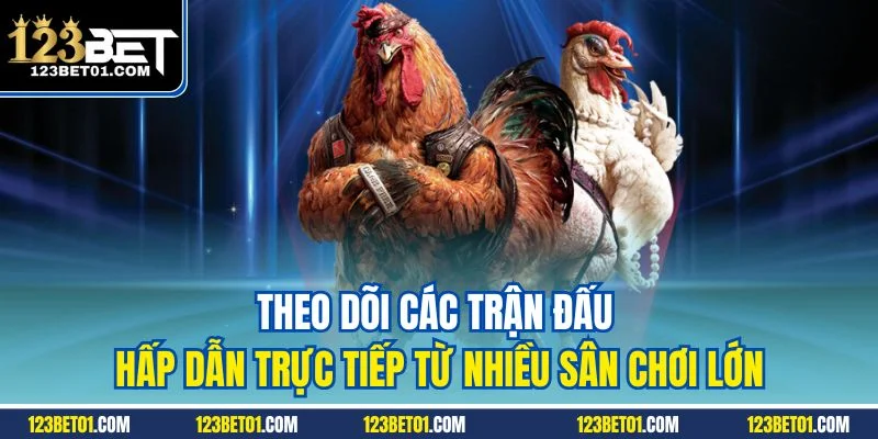 Đá Gà 123Bet - Đấu Trường Kê Chiến Dẫn Đầu Cá Cược Online Theo dõi các trận đấu hấp dẫn trực tiếp từ nhiều sân chơi lớn